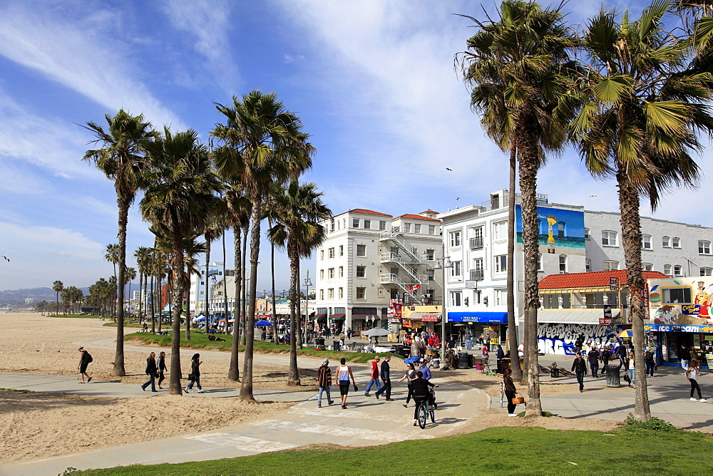 Venice Beach, Los Angeles, California, United States of America, North America