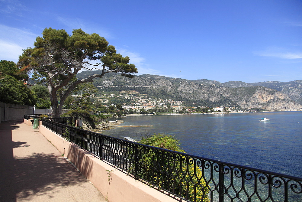 Coastal Path, Cap Ferrat Peninsula, Alpes Maritimes, Cote d'Azur, French Riviera, Provence, France, Europe