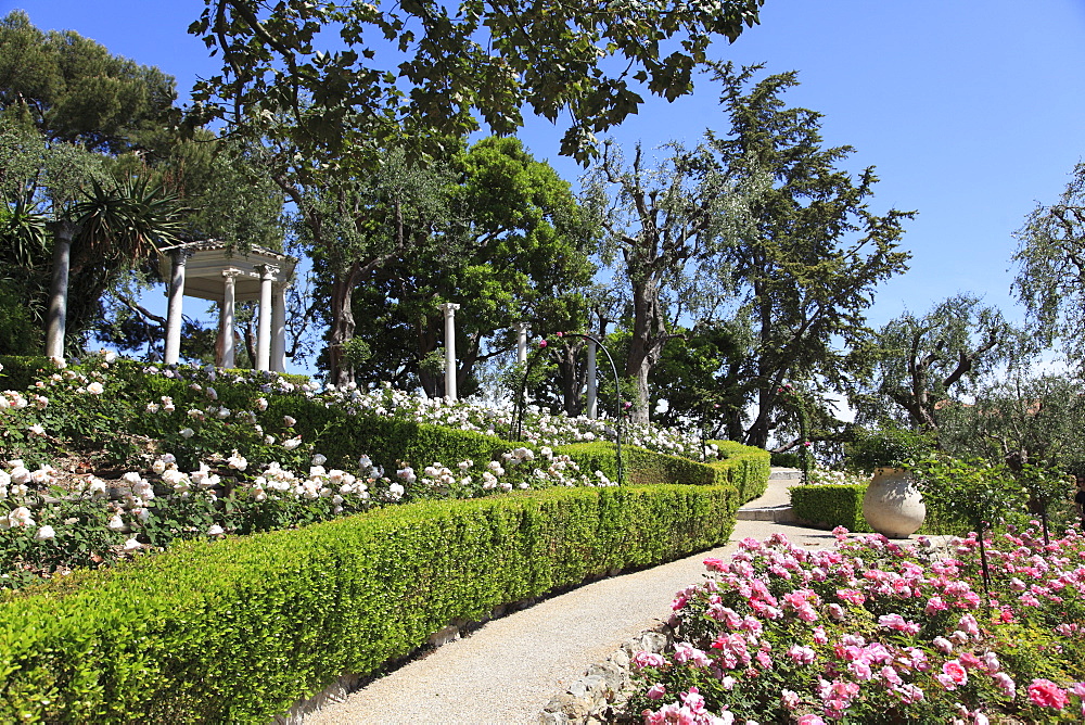 Rose Garden, Ephrussi de Rothschild Villa, Saint Jean Cap Ferrat, Alpes Maritimes, Cote d'Azur, French Riviera, Provence, France, Europe