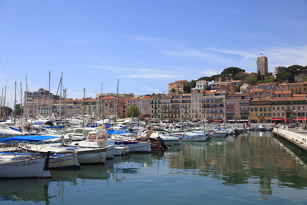 Harbor, Le Suquet, Old Town, Cannes, Alpes Maritimes, Cote d'Azur, Provence, French Riviera, France, Mediterranean, Europe