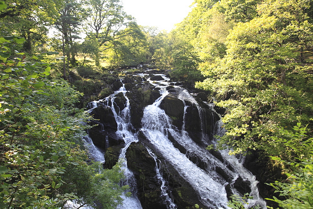 Swallow Falls, Waterfall, Afon Llugwy River, near Betws-y-Coed, North Wales, Wales, United Kingdom, Europe