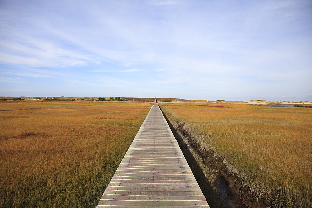 Sandwich Boardwalk, Salt Marsh, Sandwich, Cape Cod, Massachusetts, New England, United States of America, North America