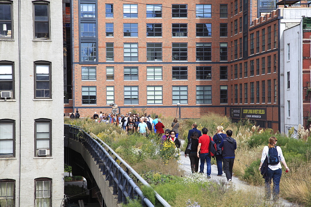 High Line Park, Manhattan, New York City, New York, United States of America, North America