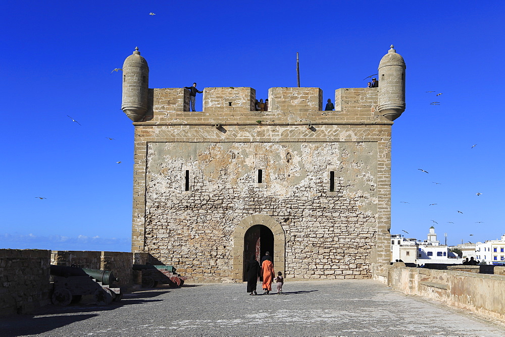 Skala du Port, Fort, 18th century ramparts, Essaouira, Morocco, Atlantic Coast, North Africa, Africa