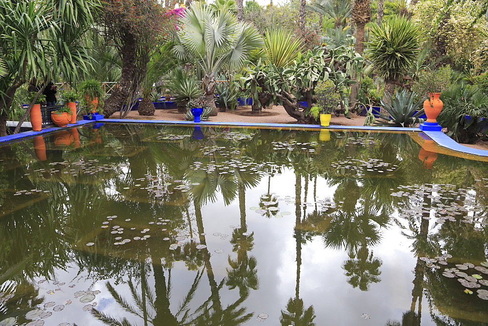 Jardin Majorelle (Majorelle Gardens), restored by fashion designer Yves Saint Laurent, Marrakesh (Marrakech), Morocco, North Africa, Africa