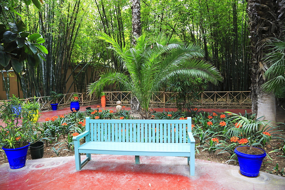 Jardin Majorelle (Majorelle Gardens), restored by fashion designer Yves Saint Laurent, Marrakesh (Marrakech), Morocco, North Africa, Africa