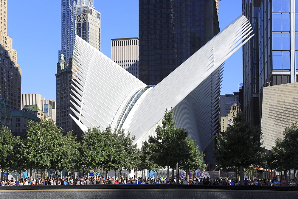 Oculus, architect Santiago Calatrava, World Trade Center Transportation Hub, Financial District, Manhattan, New York City, United States of America, North America