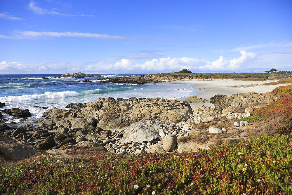 Rocky coastline, 17 Mile Drive, Pebble Beach, Monterey Peninsula, Pacific Ocean, California, United States of America, North America