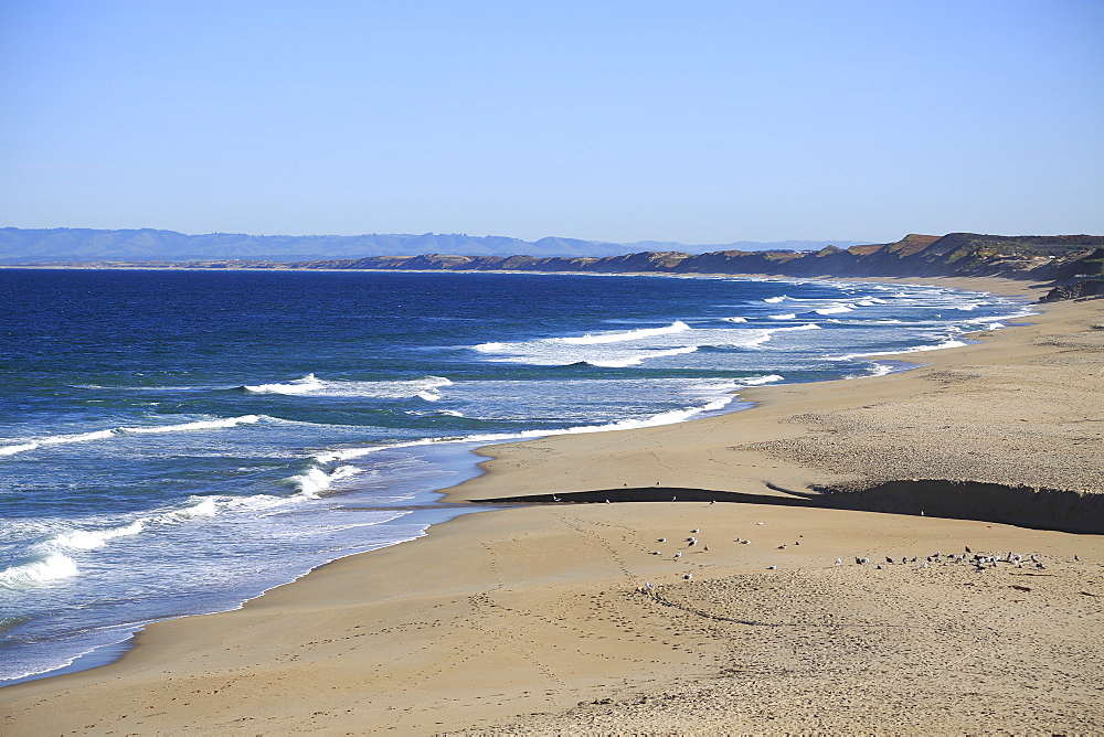 Beach, Monterey Bay, Peninsula, Monterey, Pacific Ocean, California, United States of America, North America