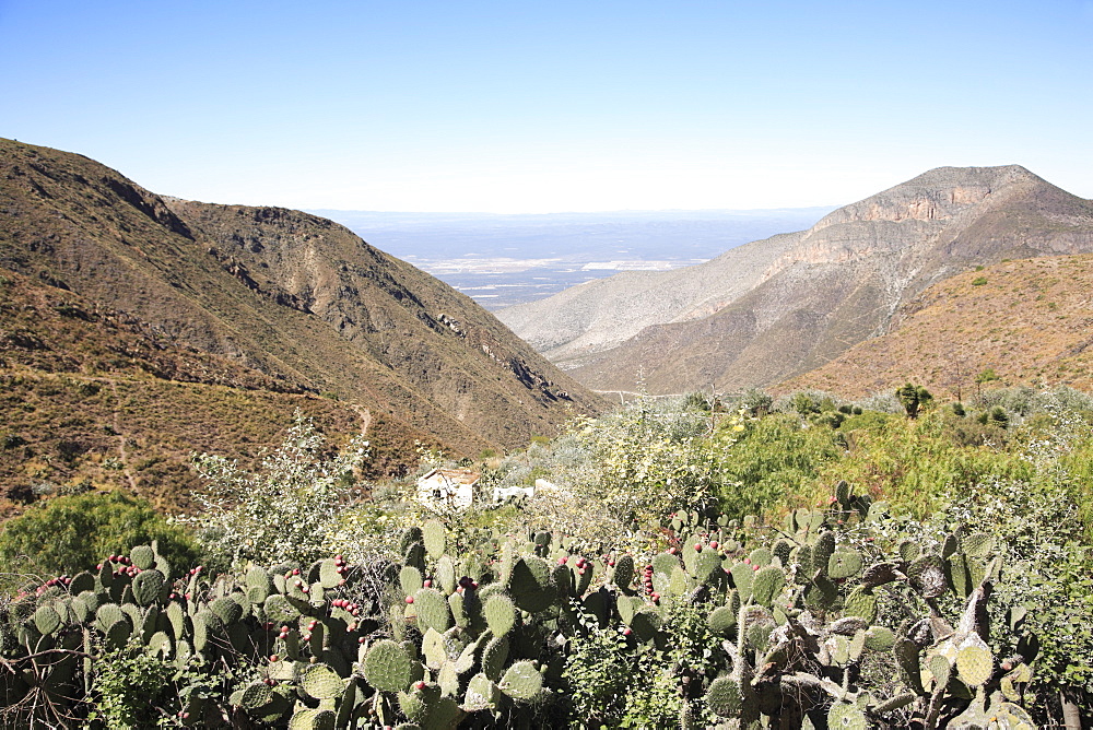 Real de Catorce, Sierra Madre Oriental mountains, San Luis Potosi state, Mexico, North America