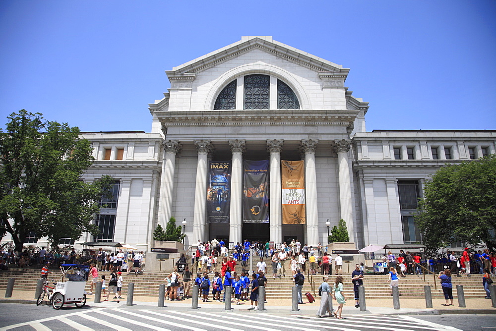 National Museum of Natural History, Washington D.C., United States of America, North America