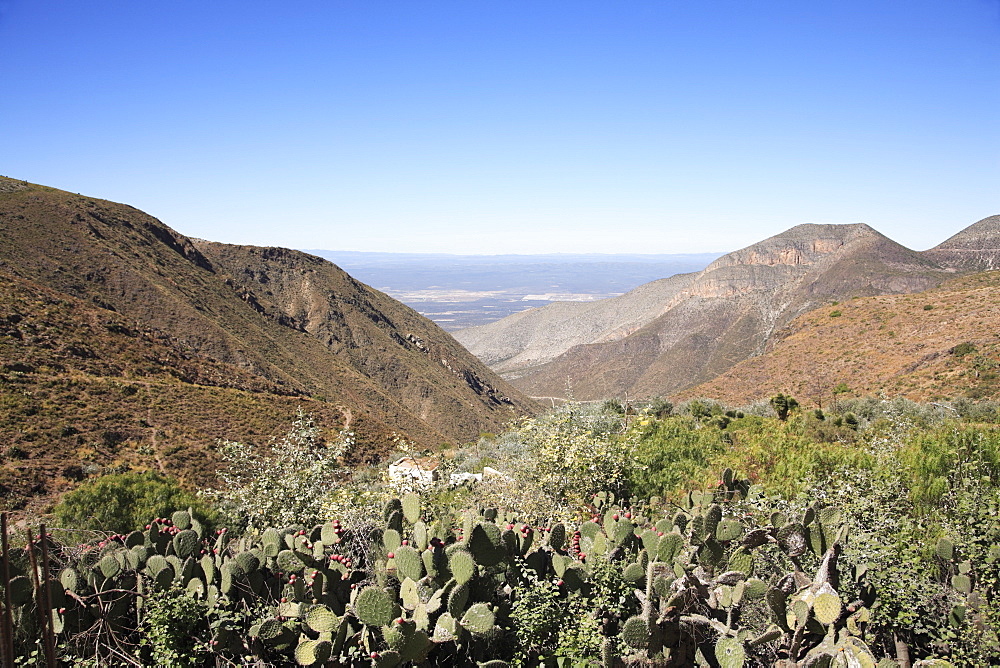 Real de Catorce, Sierra Madre Oriental mountains, San Luis Potosi state, Mexico, North America


