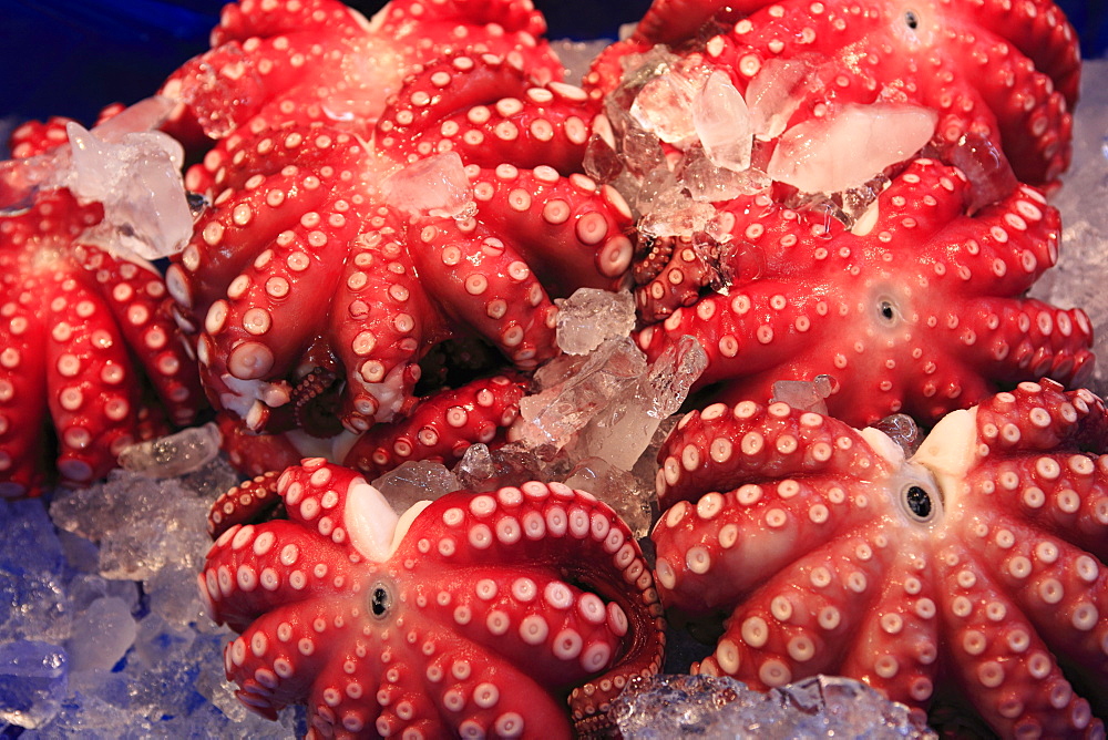 Octopus, Tsukiji fish market, Tokyo, Japan, Asia