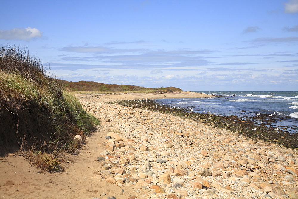 Montauk Point State Park, Montauk, Long Island, New York, United States of America, North America