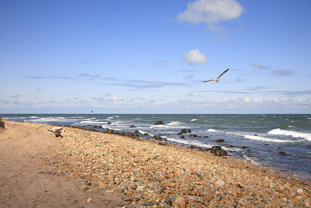 Montauk Point State Park, Montauk, Long Island, New York, United States of America, North America