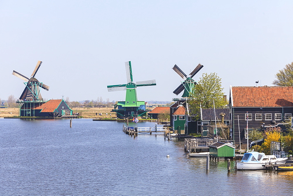 Preserved historic windmills and houses in Zaanse Schans, a village and working museum on the banks of the river Zaan, near Amsterdam, Zaandam, North Holland, Netherlands, Europe