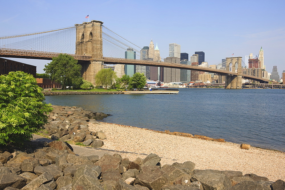 Brooklyn Bridge spanning the East River and Lower Manhattan skyline, from Empire-Fulton Ferry State Park, Brooklyn, New York City, New York, United States of America, North America