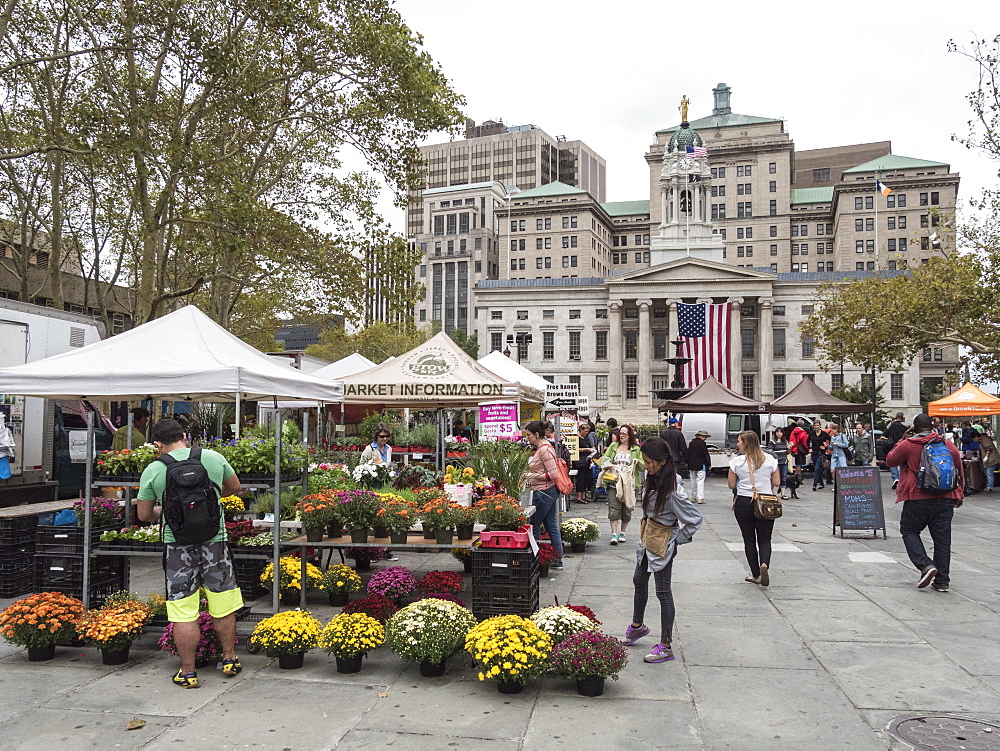 Greenmarket in front of Brooklyn Borough Hall, Brooklyn, New York, United States of America, North America