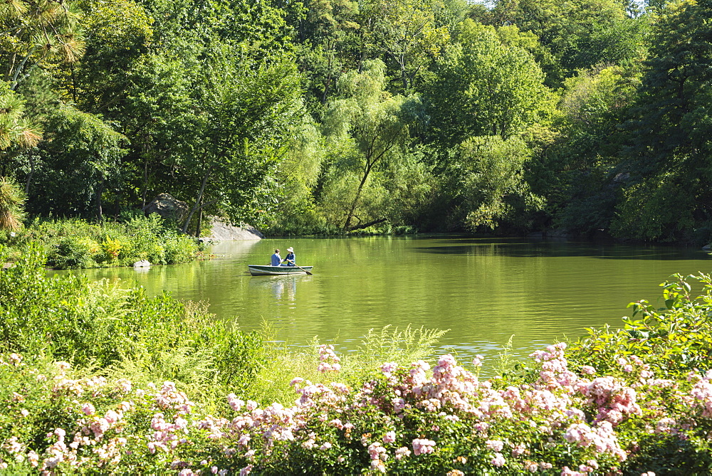 Boating on The Lake, Central Park, Manhattan, New York City, New York, United States of America, North America