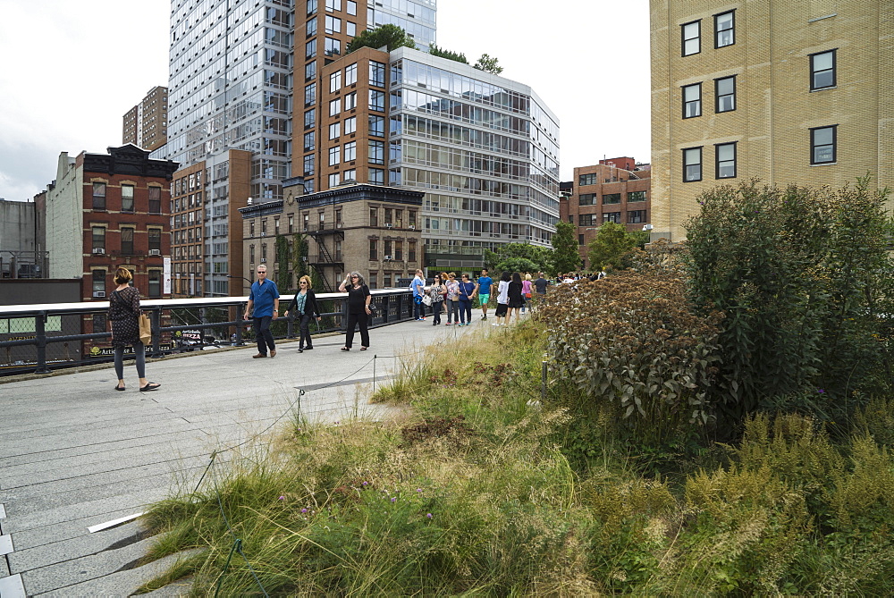 High Line public park, Meatpacking District, New York City, New York, United States of America, North America