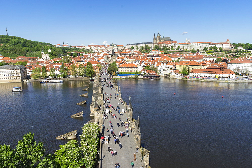 High angle view of Charles Bridge looking towards the Castle District, Royal Palace and St. Vitus's Cathedral, UNESCO World Heritage Site, Prague, Czech Republic, Europe