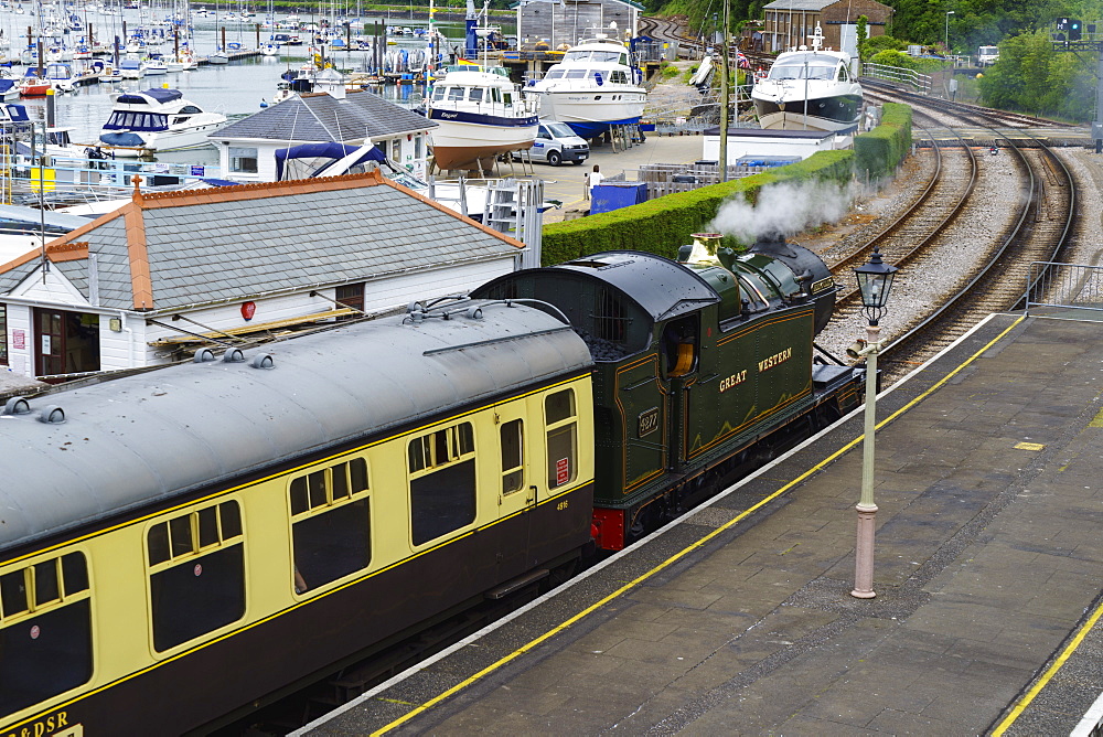 Steam train, Kingswear, Devon, England, United Kingdom, Europe