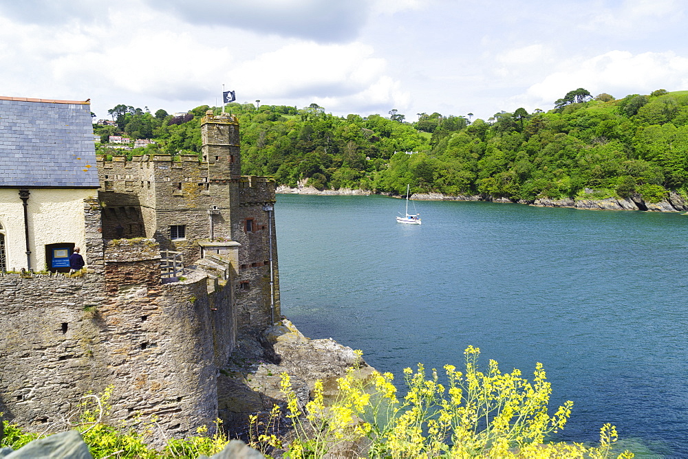 Dartmouth Castle, Dartmouth, Devon, England, United Kingdom, Europe