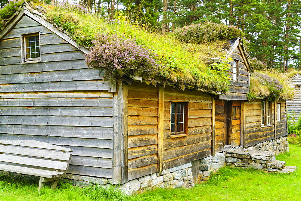 Sunnmore Museum, where over fifty traditional buildings have been relocated at the site of the old Borgundkaupangen trading centre, Alesund, More og Romsdal, Norway, Scandinavia, Europe