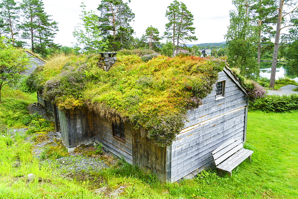 Sunnmore Museum, where over fifty traditional buildings have been relocated at the site of the old Borgundkaupangen trading centre, Alesund, More og Romsdal, Norway, Scandinavia, Europe