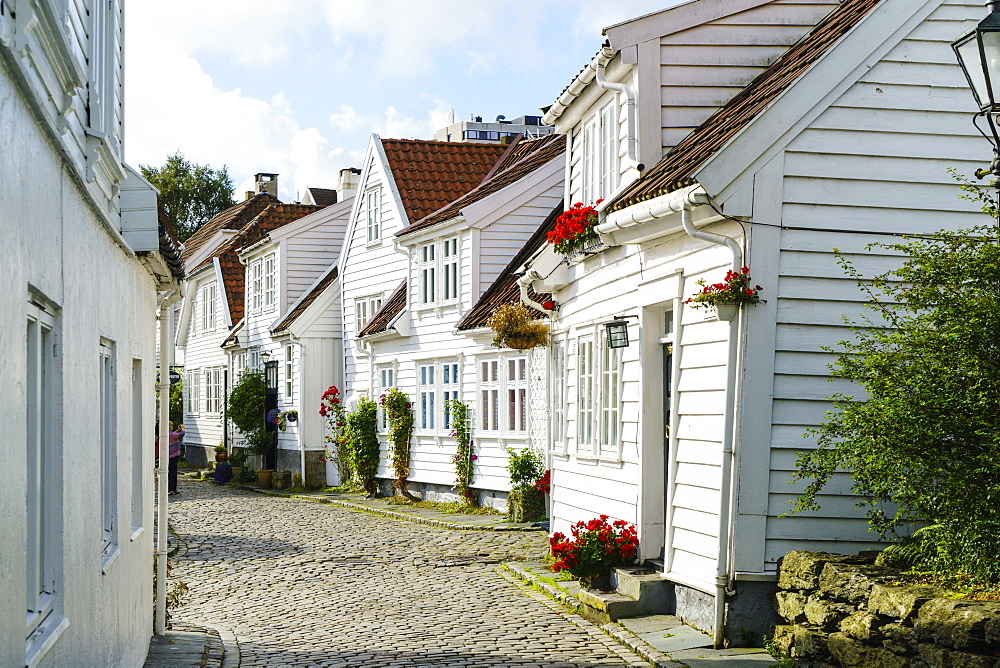 Old Stavanger (Gamle Stavanger) comprising about 250 buildings dating from early 18th century, mostly small white cottages, Stavanger, Rotaland, Norway, Scandinavia, Europe