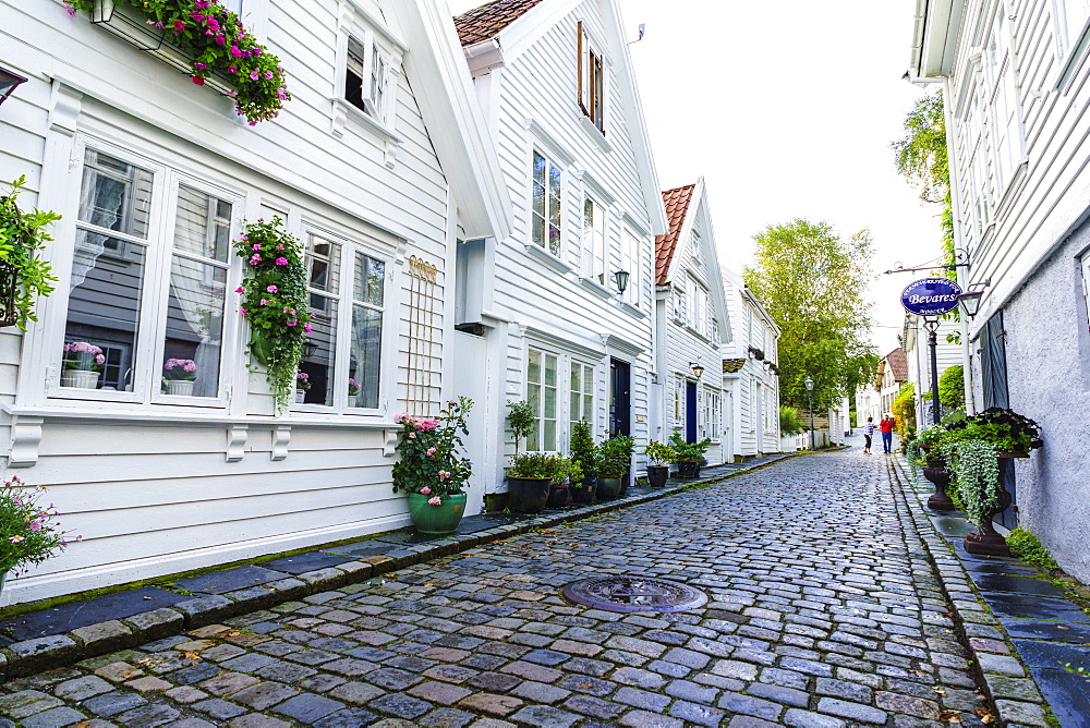 Old Stavanger (Gamle Stavanger), comprising about 250 buildings dating from early 18th century, mostly small white cottages, Stavanger, Rotaland, Norway, Scandinavia, Europe