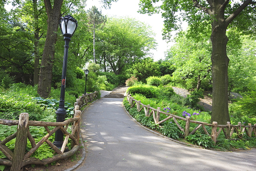 The Ramble, Central Park, Manhattan, New York City, New York, United States of America, North America