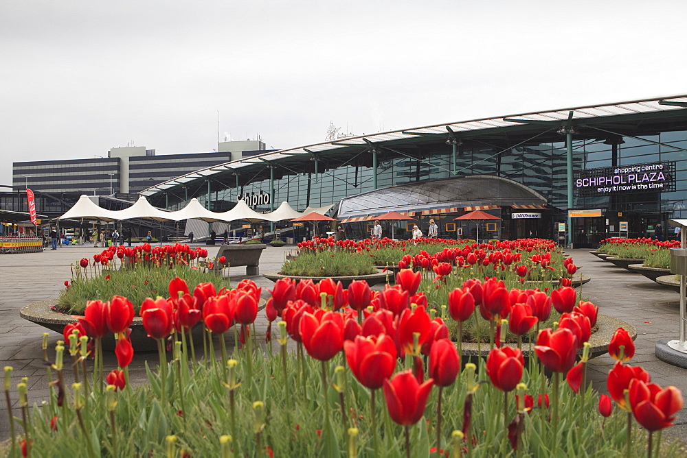 Schiphol Airport, Amsterdam, Netherlands, Europe