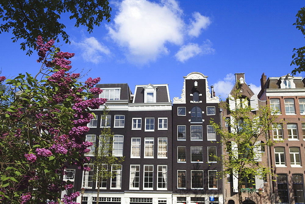 Houses on the Prinsengracht, Amsterdam, Netherlands, Europe