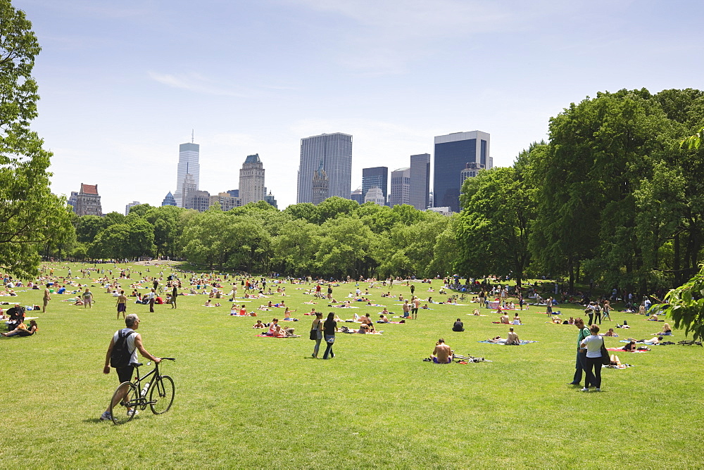 Sheep Meadow, Central Park on a Summer day, New York City, New York, United States of America, North America