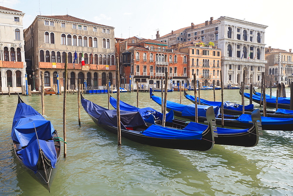 Grand Canal, Venice, UNESCO World Heritage Site, Veneto, Italy, Europe