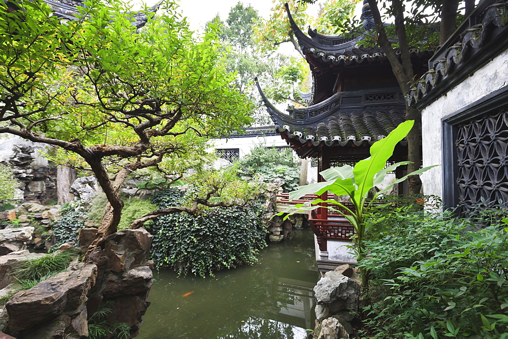 Yu Gardens (Yuyuan Gardens), the restored 16th century gardens are one of Shanghai's most popular tourist attractions, Nanshi, Shanghai, China, Asia