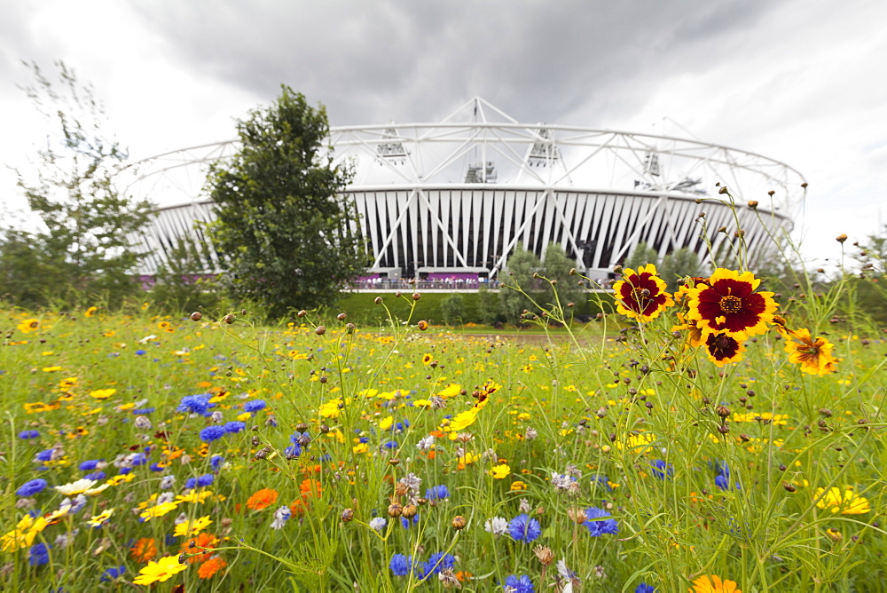 Olympic Stadium surrounded by wild flowers in the Olympic Park, Stratford City, London, England, United Kingdom, Europe