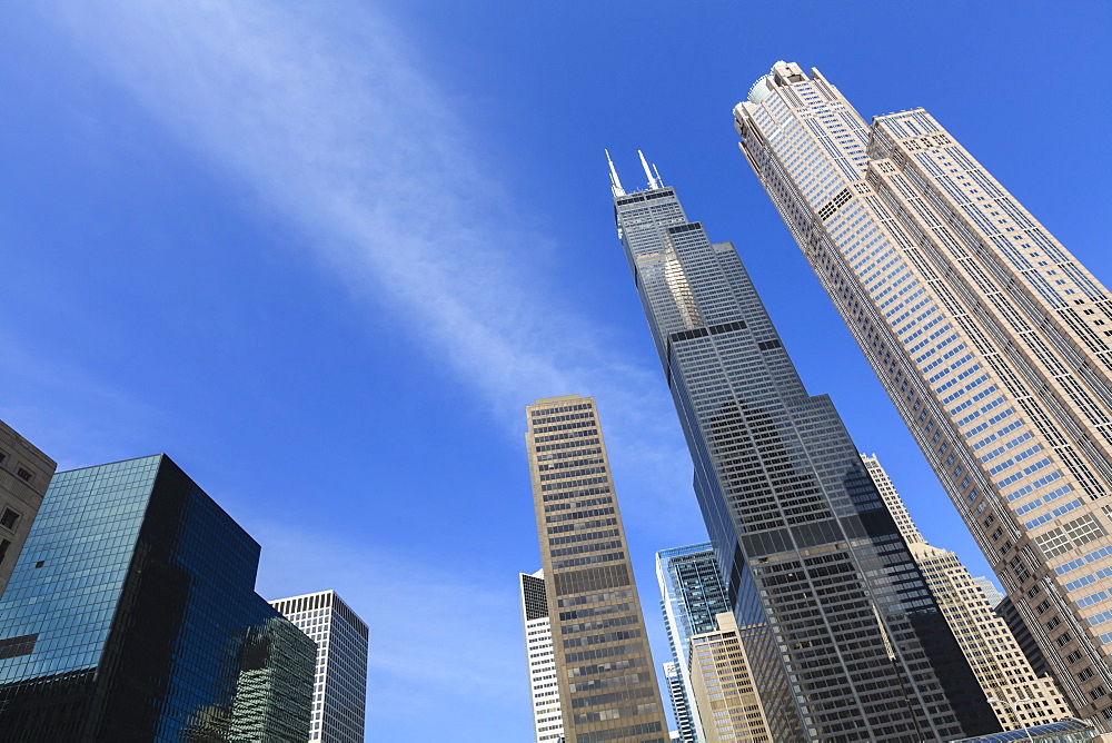 Chicago skyscrapers including the Willis Tower, formerly the Sears Tower, Chicago, Illinois, United States of America, North America