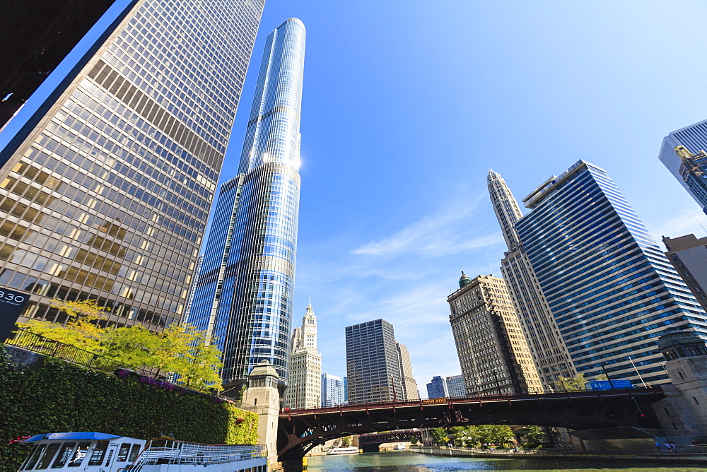 Skyscrapers along the Chicago River, including Trump Tower, Chicago, Illinois, United States of America, North America