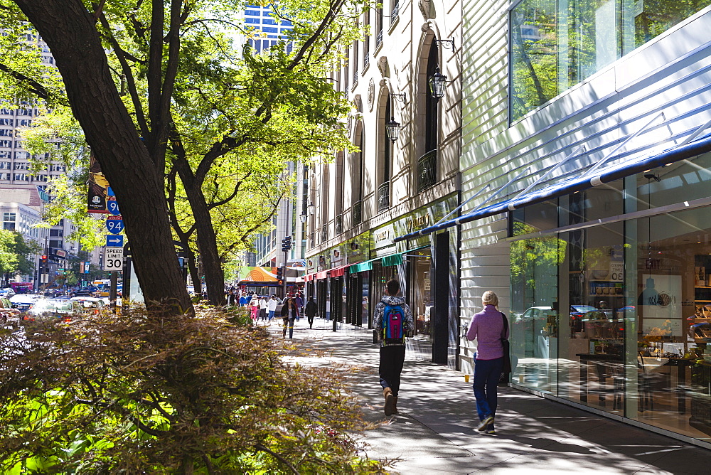 Stores on North Michigan Avenue's Magnificent Mile, Chicago's most fashionable shopping street, Chicago, Illinois, United States of America, North America