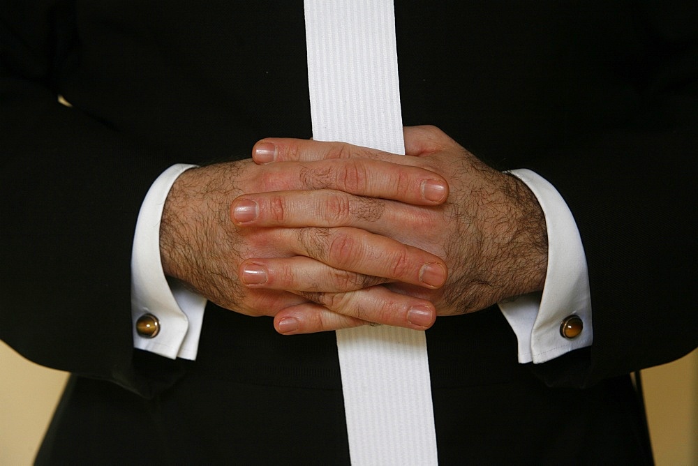 Hands of a canon of St. Augustin, Klosterneuburg, Austria, Europe