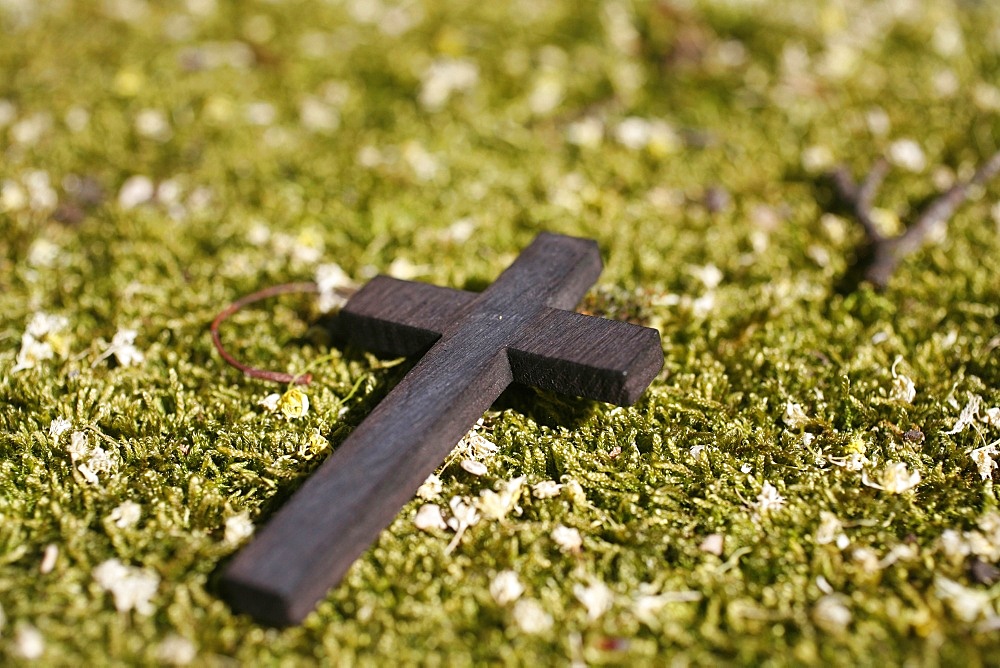 Wooden cross, Paris, France, Europe