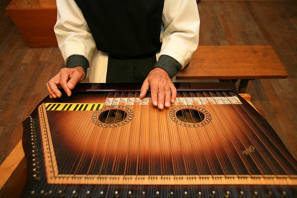 Monk playing medieval sitar at Citeaux abbey, St. Nicolas les Citeaux, Cote d'Or, Burgundy, France, Europe