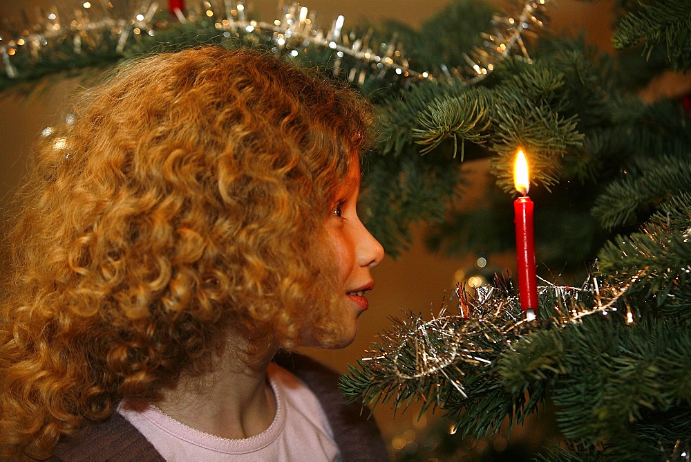 Girl looking at Christmas tree, Haute Savoie, France, Europe