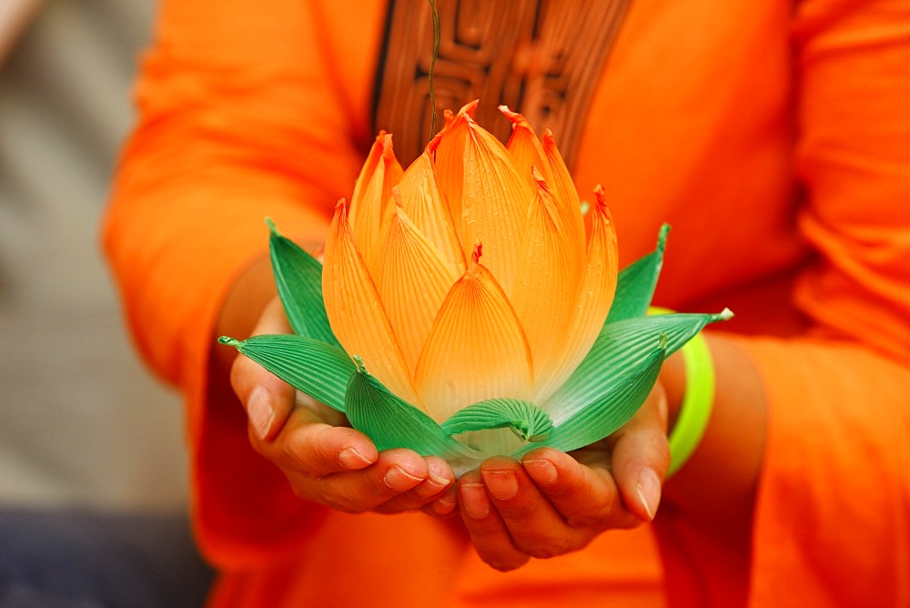 Paper lotus flowers, Seoul, South Korea, Asia