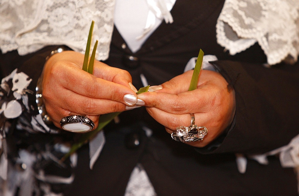 Orthodox Coptic Palm Sunday, Chatenay-Malabry, Hauts-de-Seine, France, Europe