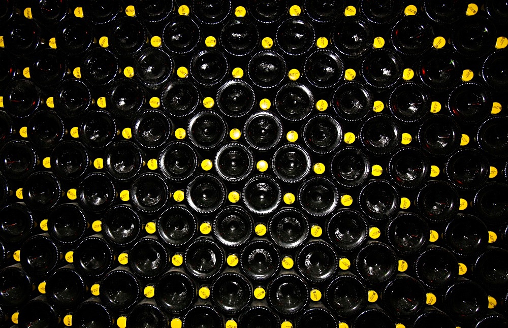 Taittinger champagne cellar, Reims, Marne, France, Europe