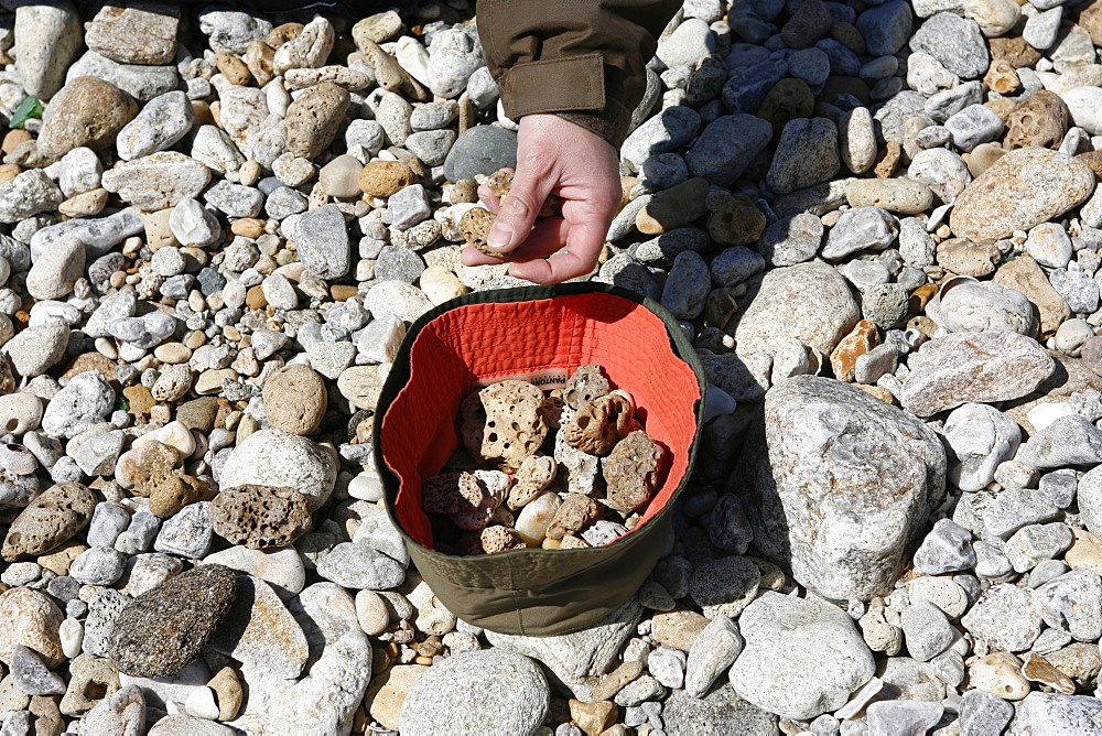 Pebbles, Noirmoutier, Vendee, France, Europe