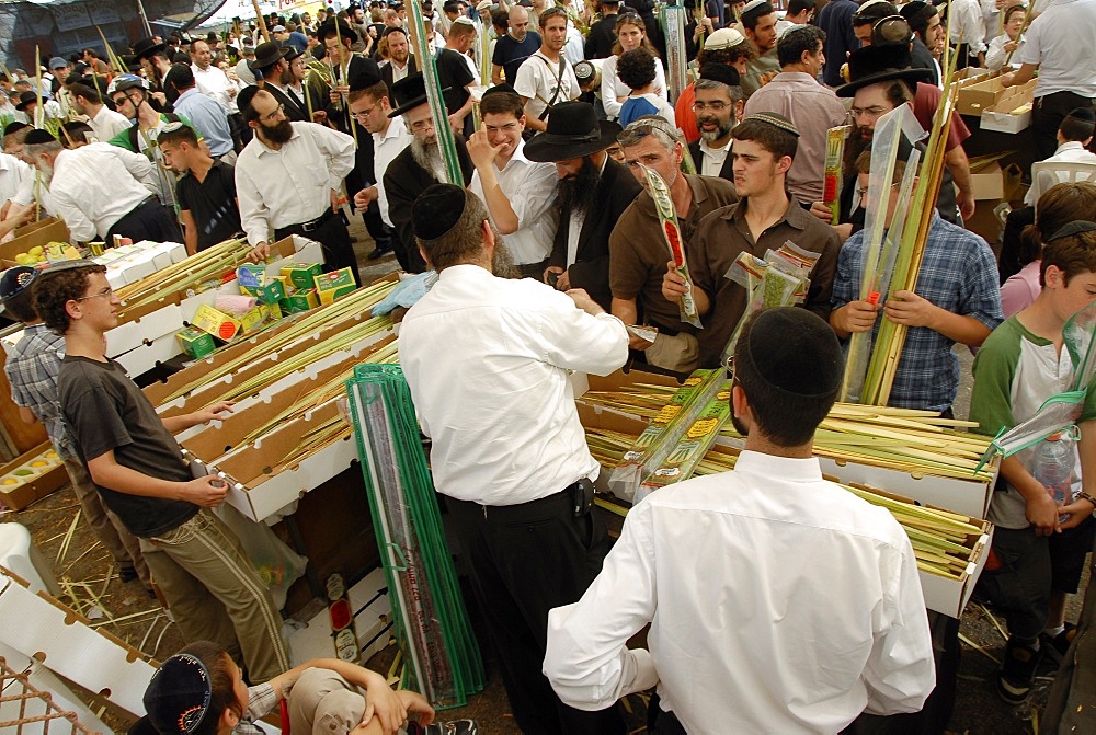 Jews buying Sukhot ritual items, Jerusalem, Israel, Middle East